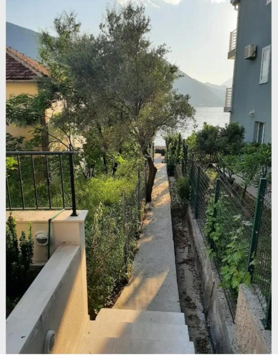 Apartments Boka Blue Dobrota Kotor Exterior photo